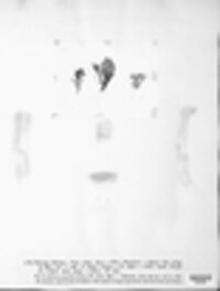 Phaeoclavulina abietina image